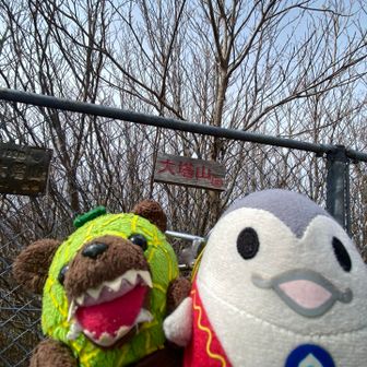 ほへー　草ボーボーでこわーい