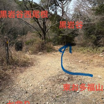回復🙌
六甲山頂へのルートは黒岩谷へ。
今回は東お多福から登ってきました。
