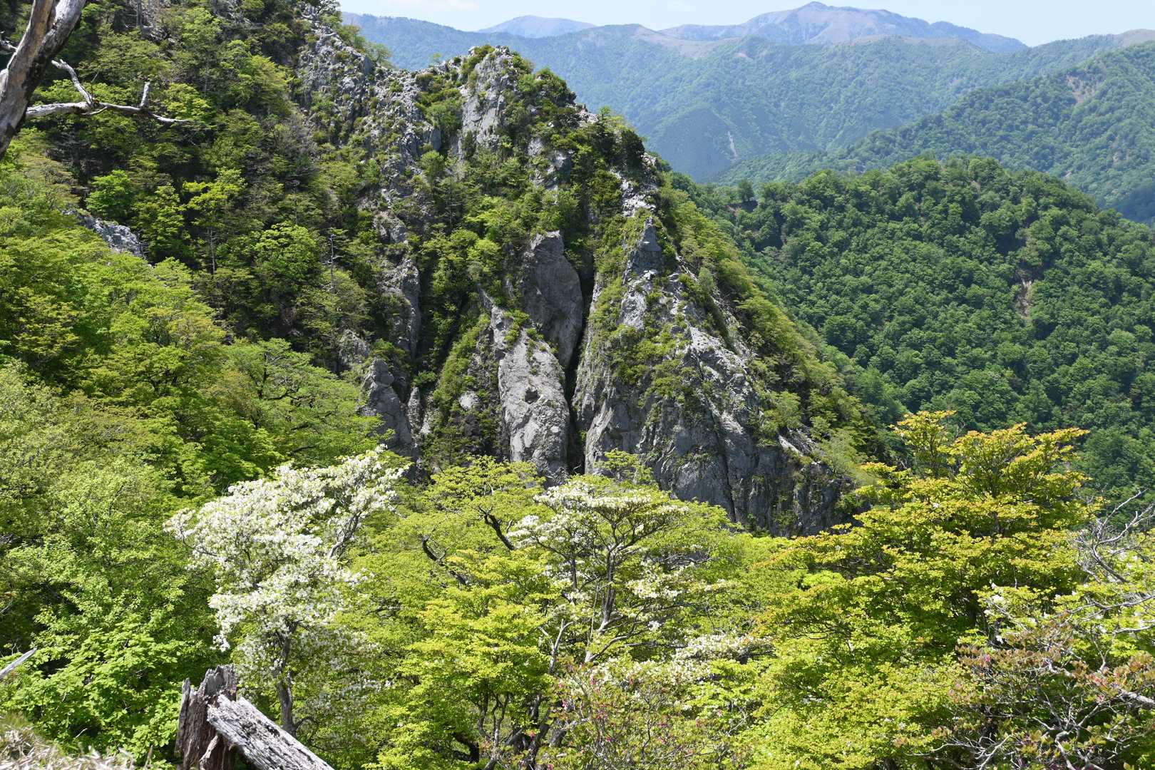 見えてきました。
西峰に戻って来た！