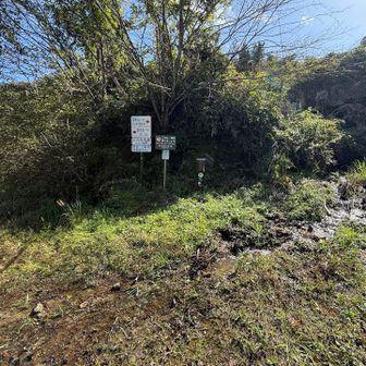 ようやく田代ルートの登山口。道が川になってます。