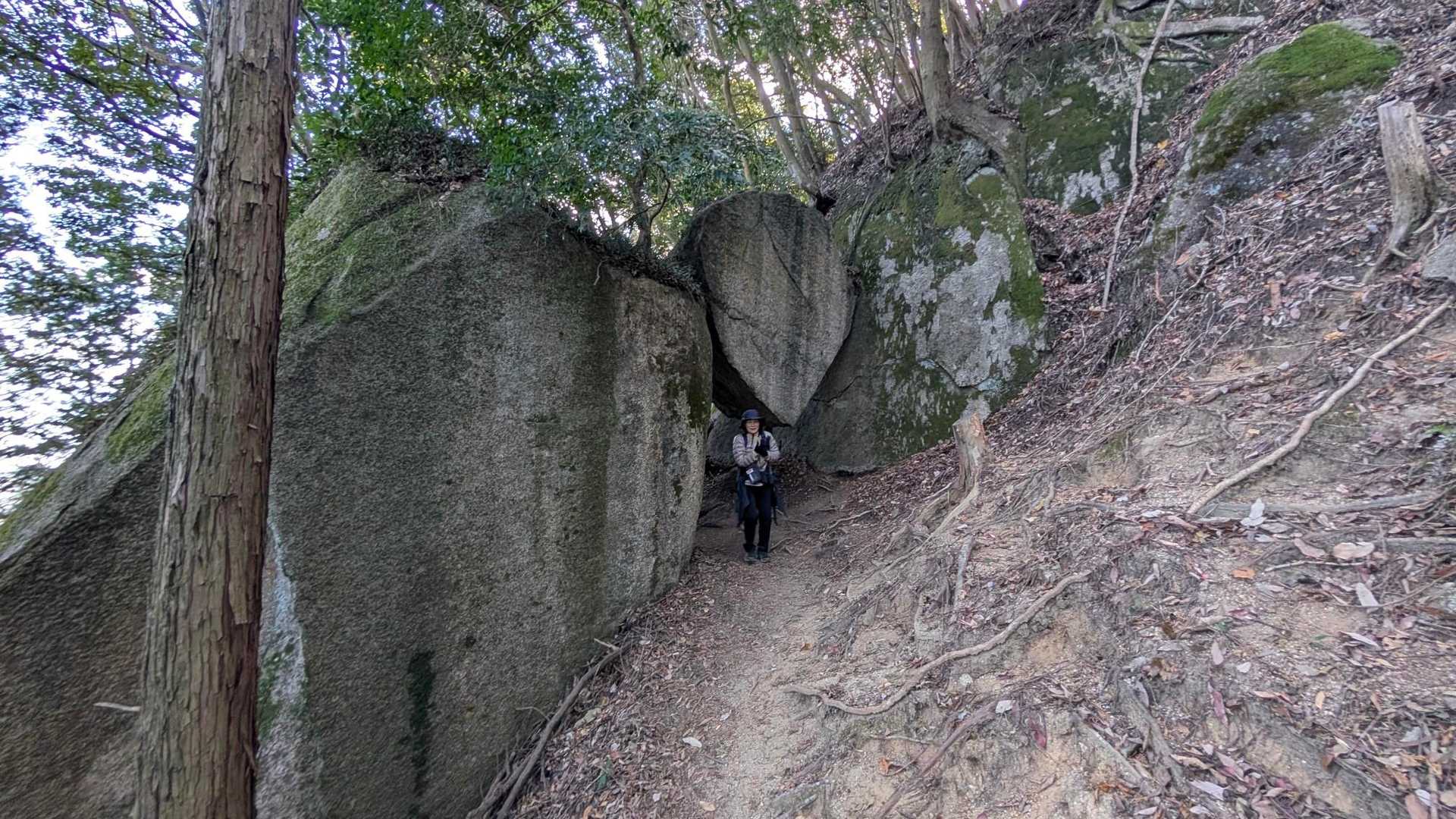 岩石山 周回コースの写真