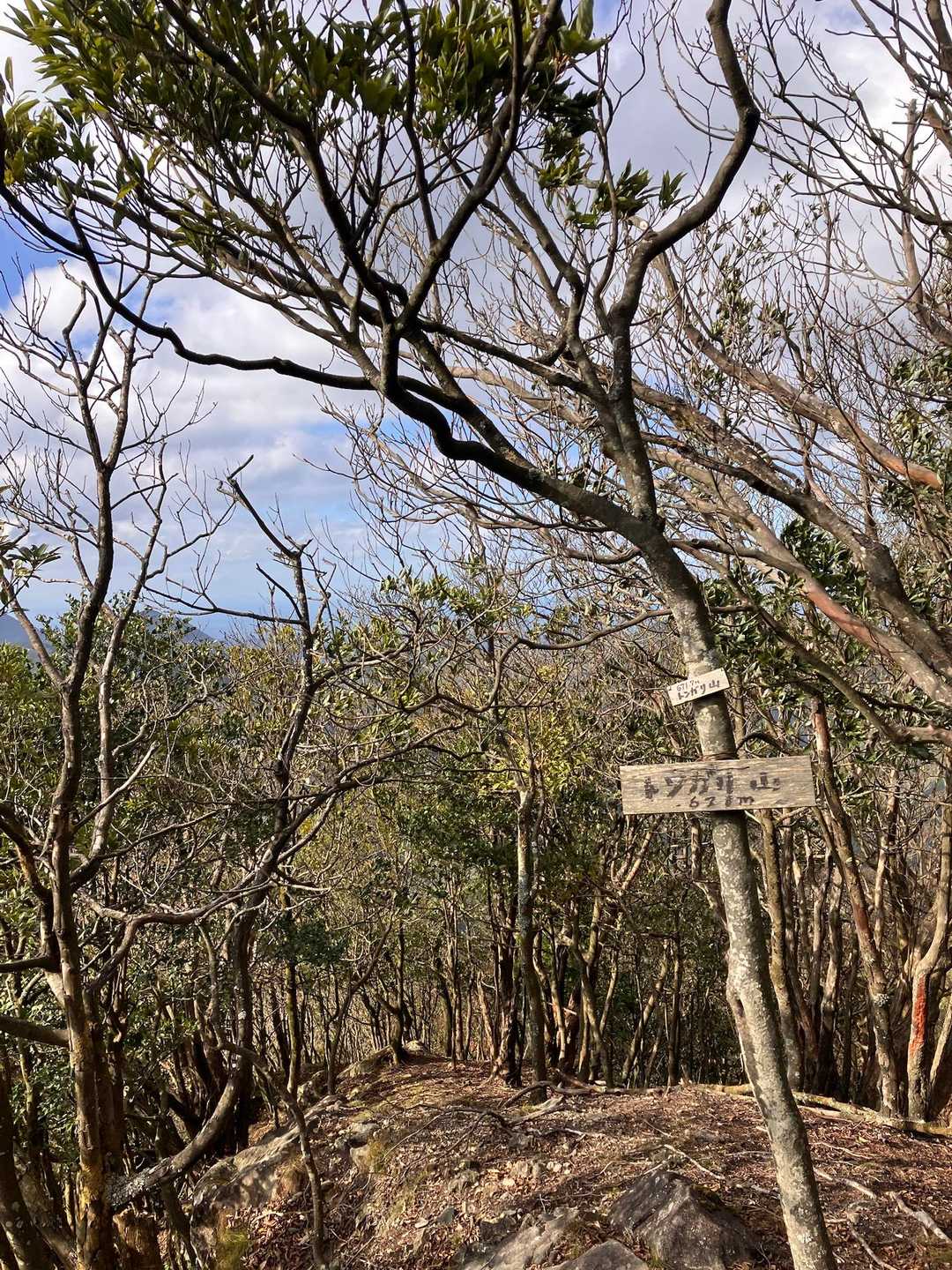 無事にピークgetトンガリ山⛰️