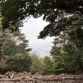 木々の中に街並みが見えてましたが、霞んでます。😞