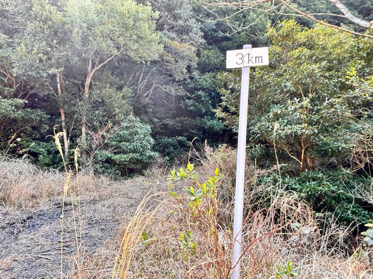これは3km歩いたってことなのか？
山頂まで3kmということなのか？🤔