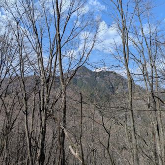 馬頭刈尾根から大岳山