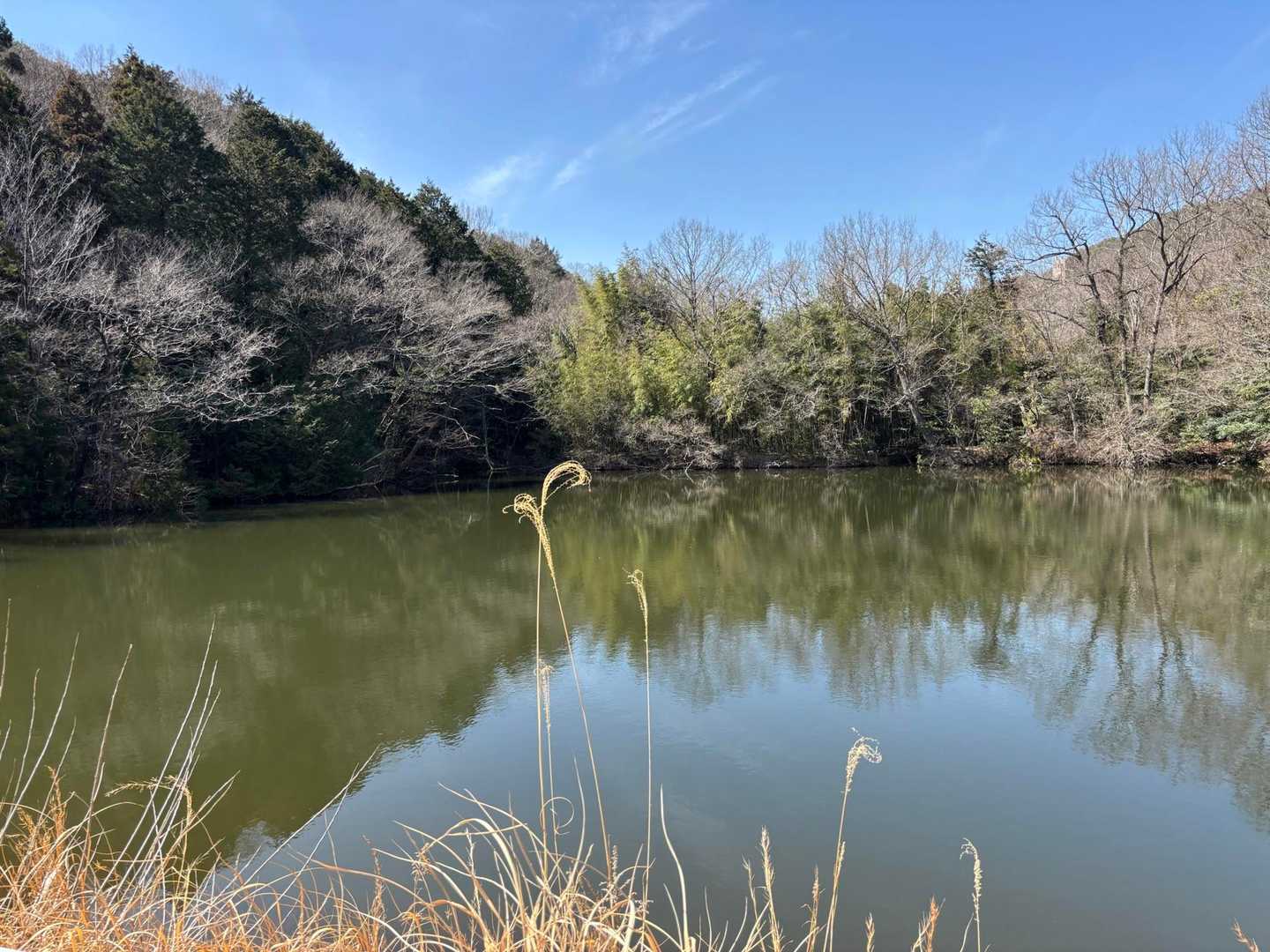 向山-須衛山-見晴台登山口 周回コースの写真