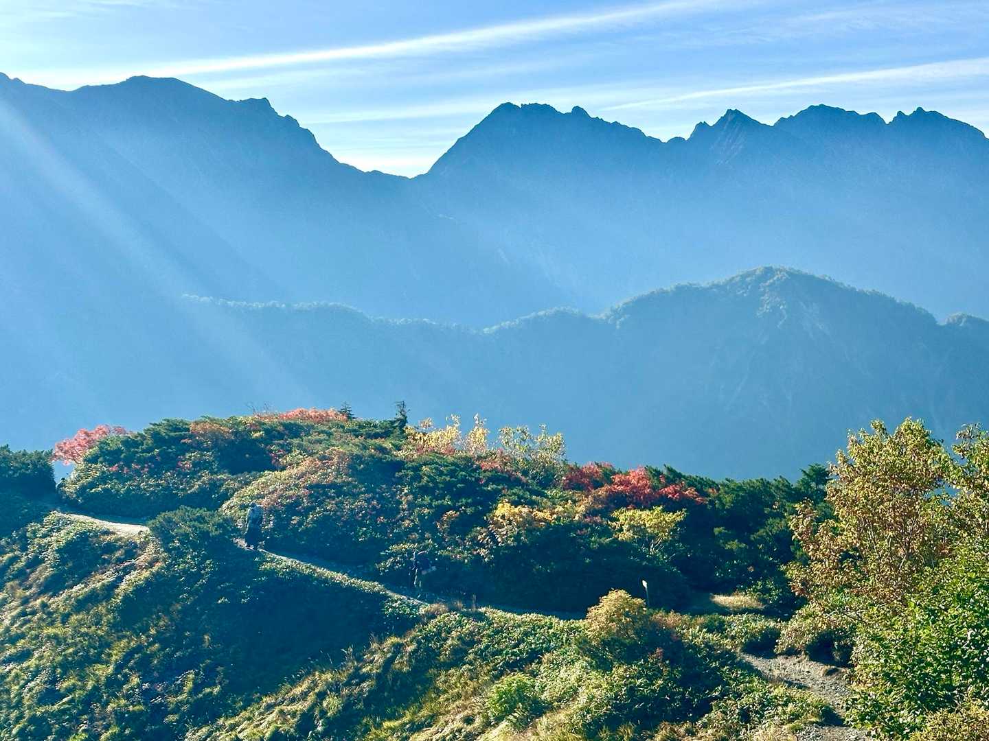 薬師岳登山口-五光岩ベンチ-アラスカ庭園-スイス庭園-祖父 縦走コースの写真