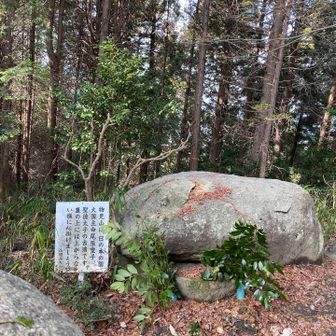 物見山にて300座目到達っ🤣