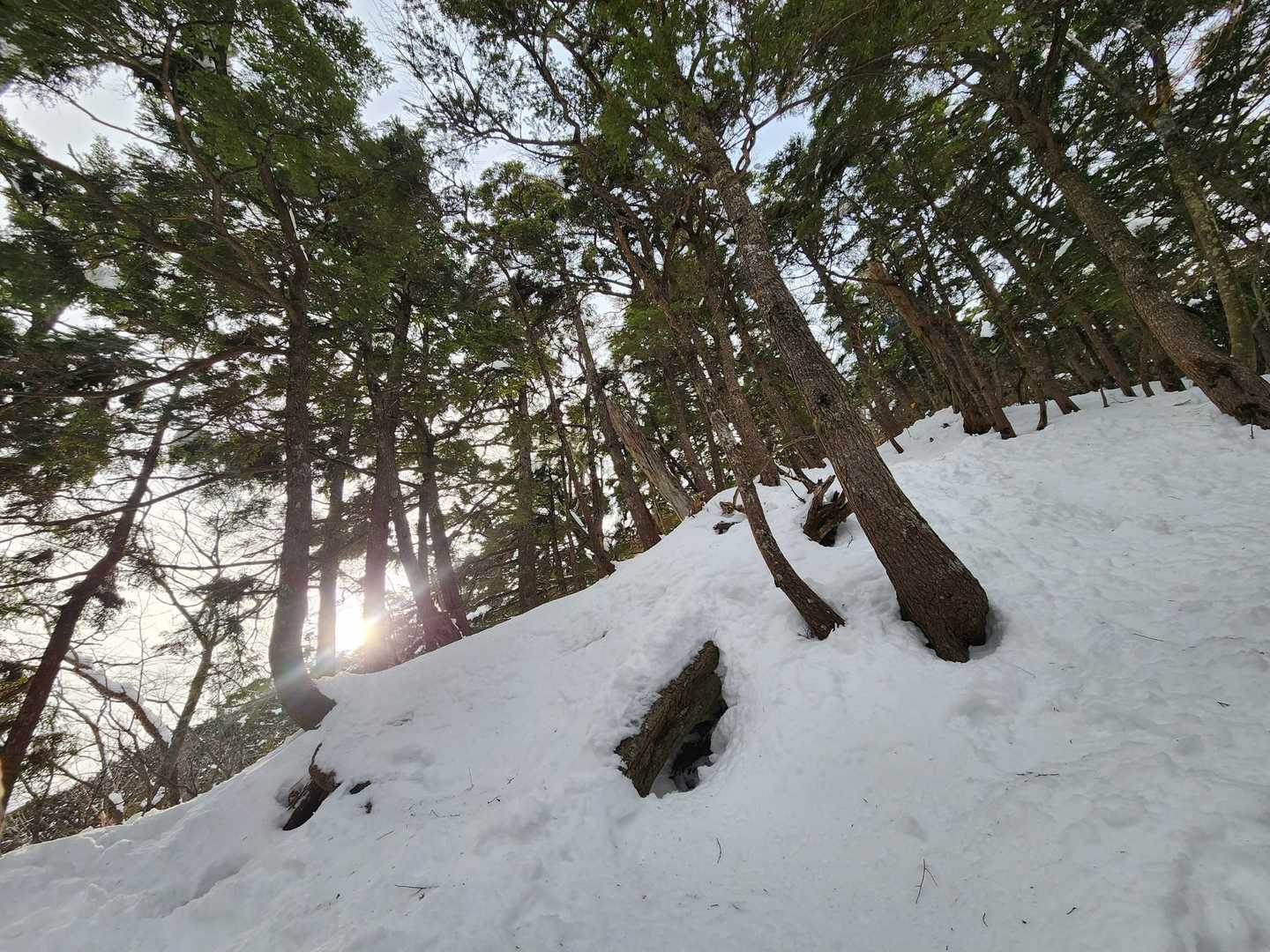 本格的に急登が始まります💕
たった1名のトレースですが、そのお陰でどのルートで登っていくのか考える手間が省けます。



