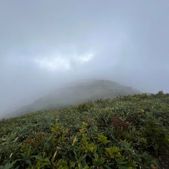 かろうじて山肌⛰️