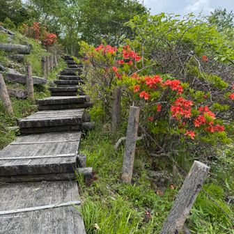 花童子の宮跡。ツツジに囲まれて美しい