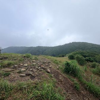 大矢岳に戻ってきた。
画面左奥が大矢野岳。