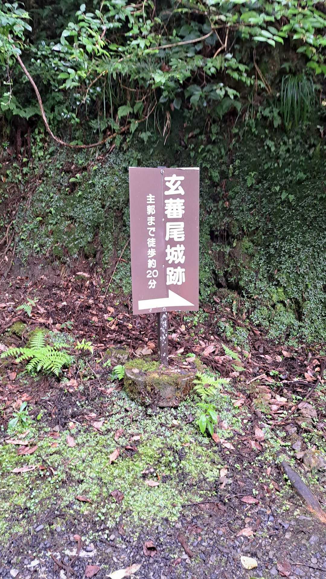 ここから登ります。