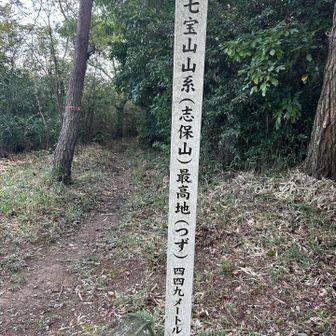 クモに、悪いとは思っている！
と言いながら巣をツブしながら登頂