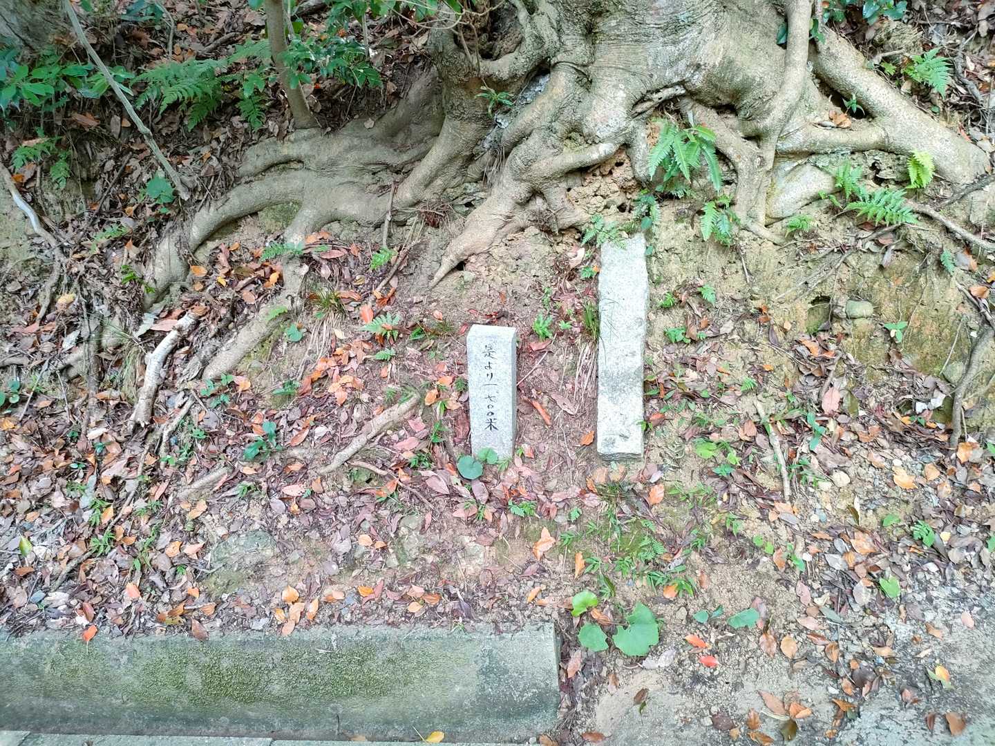 観音像と不動明王像を拝んだ後、登山に戻る。