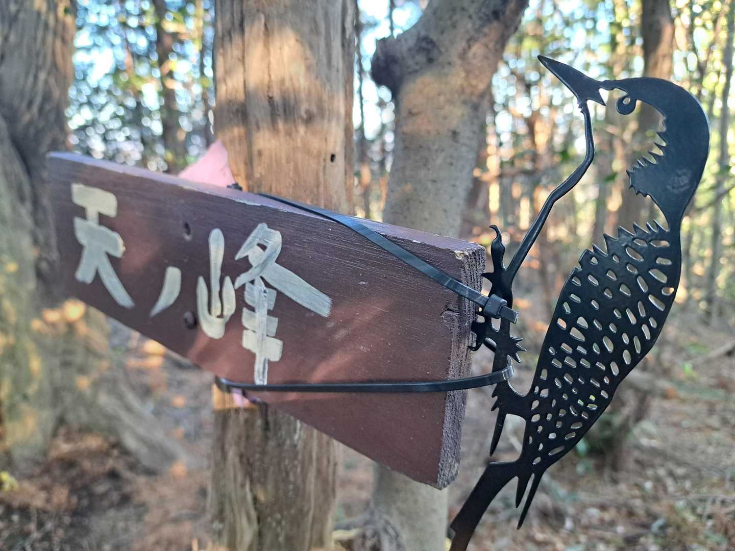 官ノ倉山-烏森山-臼入山 往復コースの写真