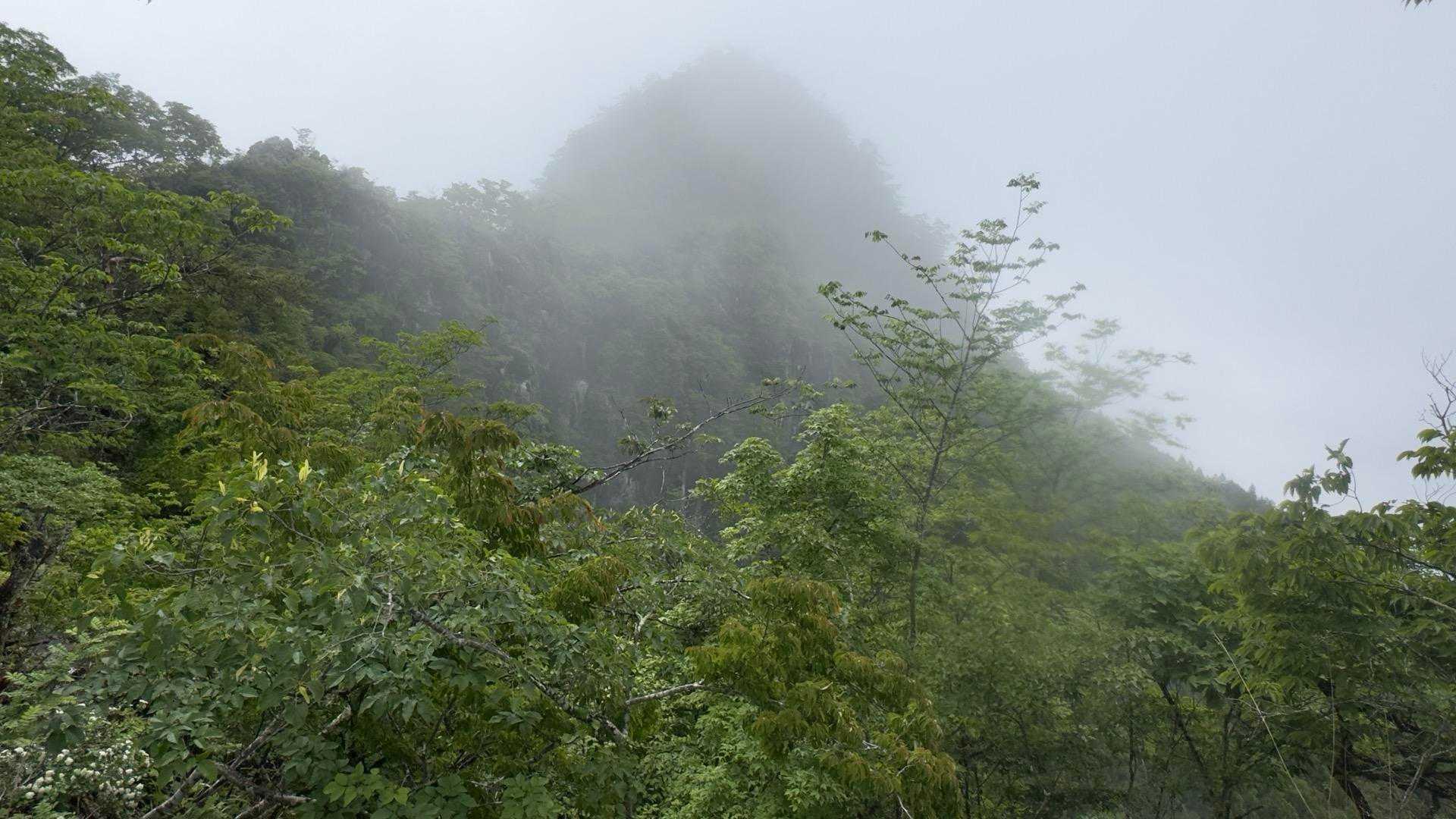 二子山倉尾登山口-股峠-二子山東岳-二子山西岳 周回コースの写真