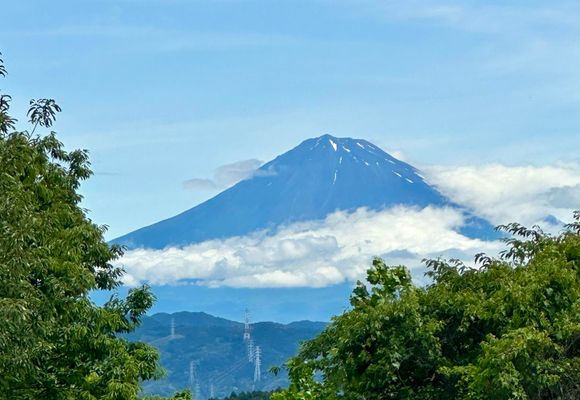 有度山　　風景画 有度山（静岡・307m）| 登山ルート・天気 | YAMAP / ヤマップ