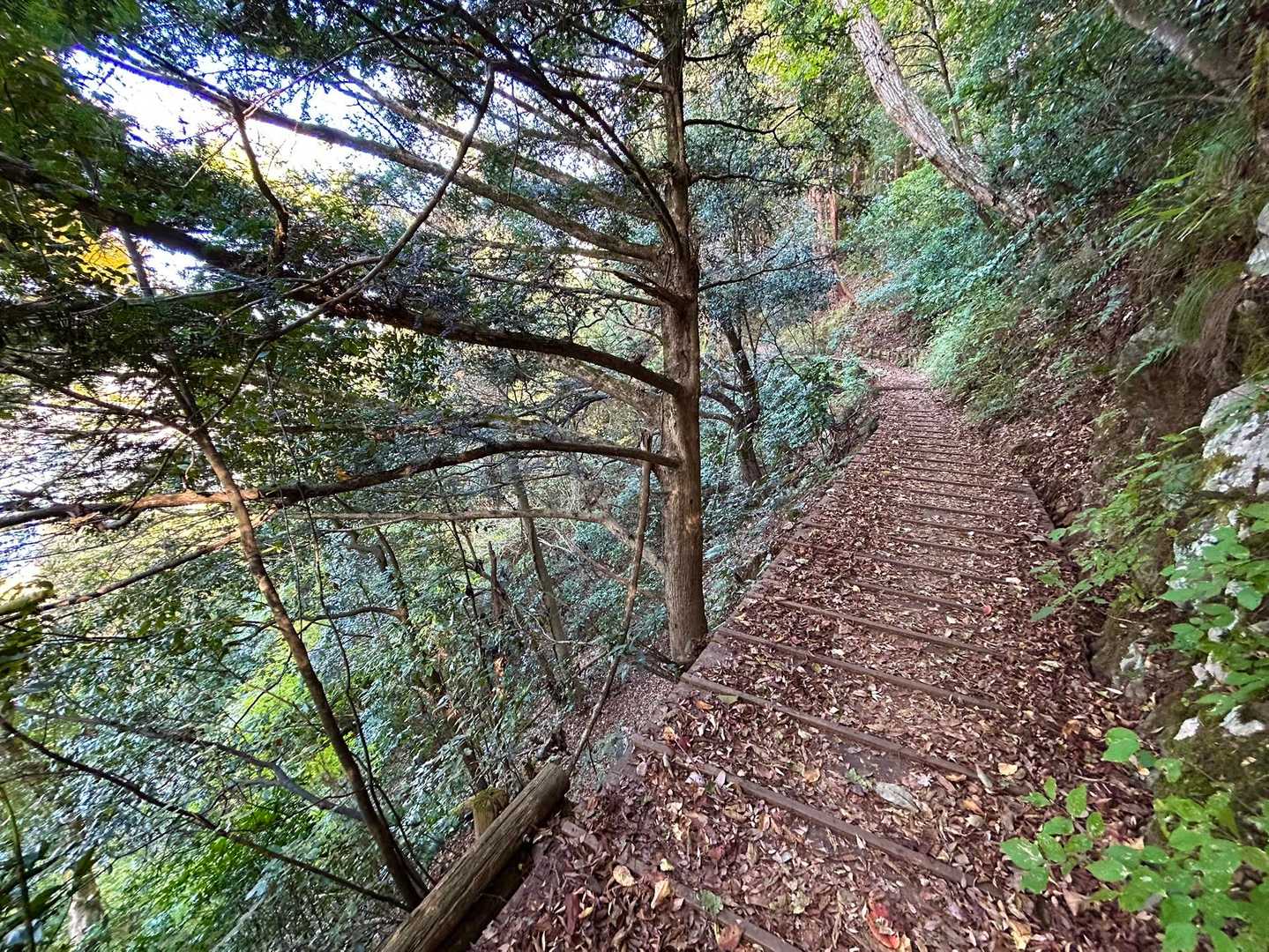 城山登山口-不動平 往復コースの写真