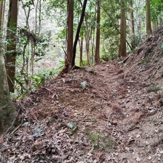 登山道に戻って、神の座⛰️に向かいます。