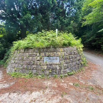 一本杉峠。左は県道218号線 大塚真壁線。ノーマルのオフロード車＆並の腕では、通過は無理。