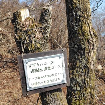 山頂からすずらんコースのショートカットコース。落葉時期はよいですが葉が茂る時期は迷いやすいので避けて通常コースを行くのが無難です。
