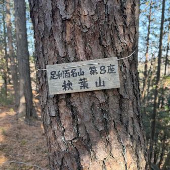 秋葉山

これにてピークハント終了
下山下山