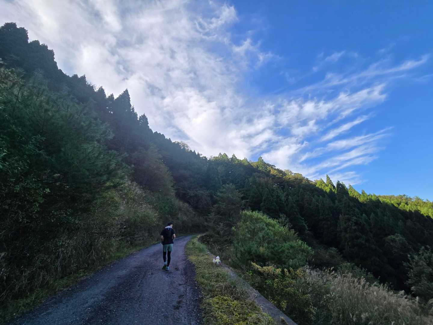 涌蓋山 往復コース（はげの湯）の写真