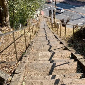 階段を降りて、後は駐車場まで歩道歩きで、Finish!