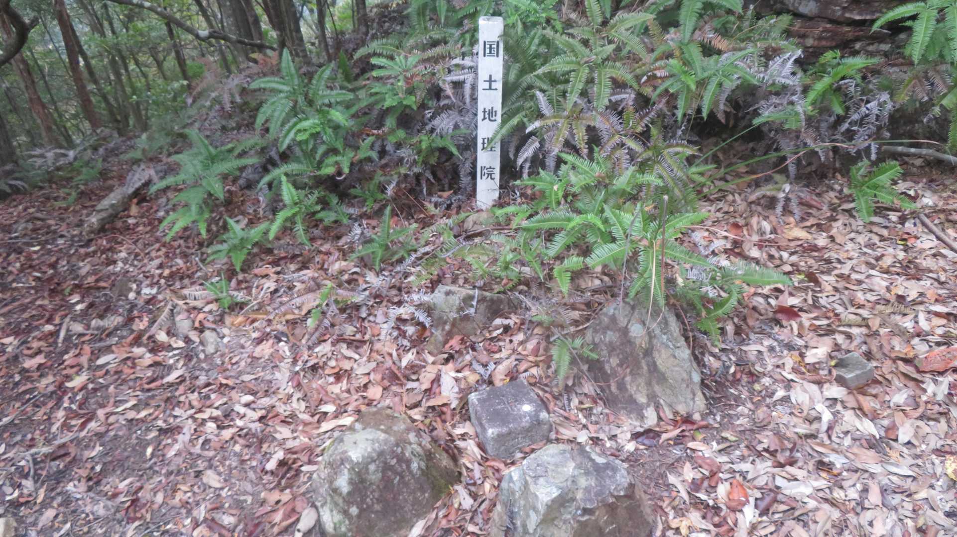 新嶽山　286m