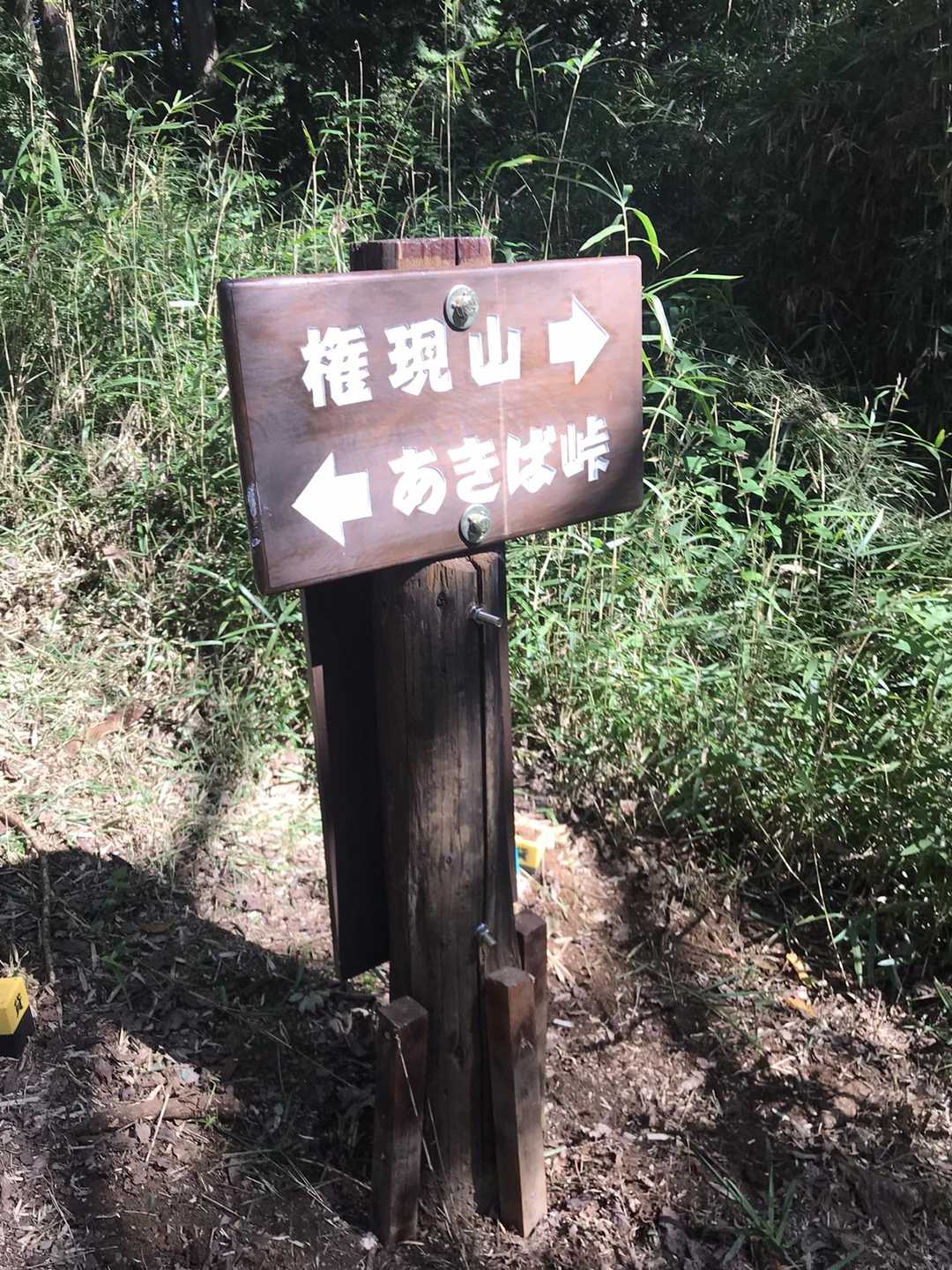 青木葉山-青木葉峠-雪入山 往復コースの写真