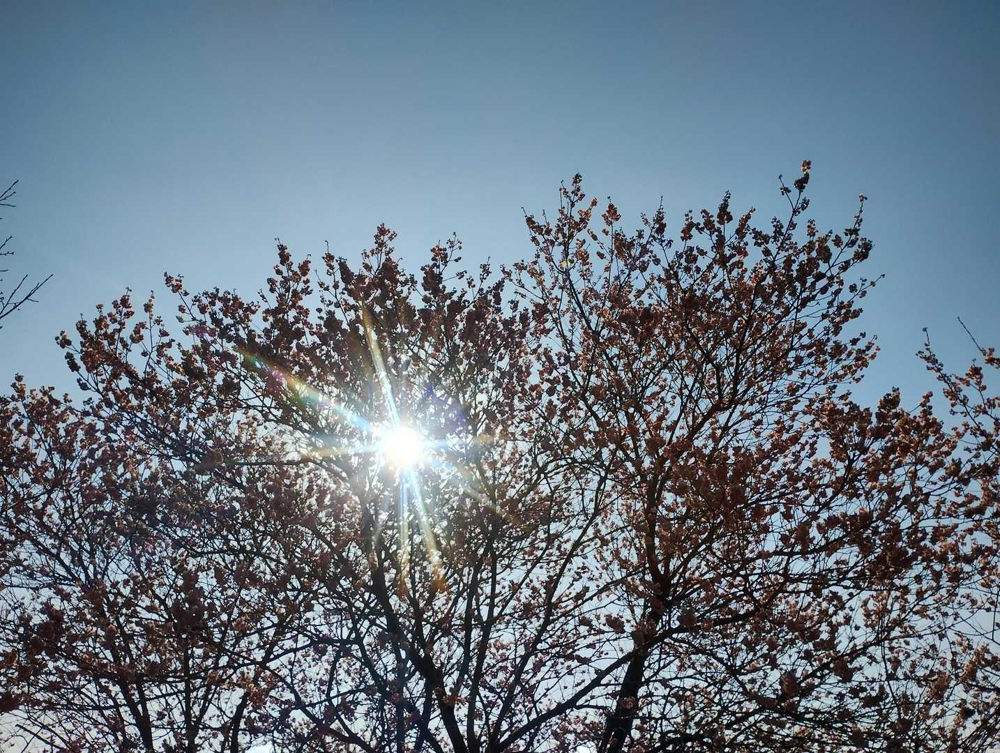 ☀