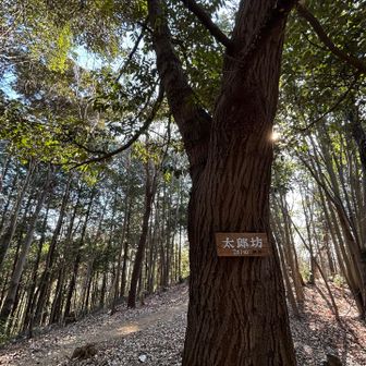 小ピーク、太郎坊。