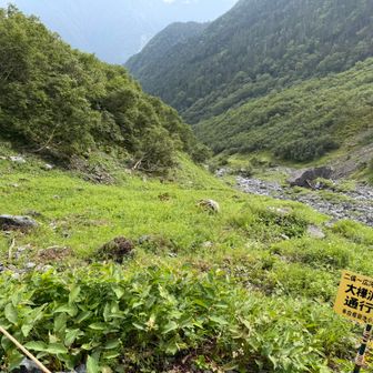 2022年に来た時もすでに閉鎖されていた大樺沢コース