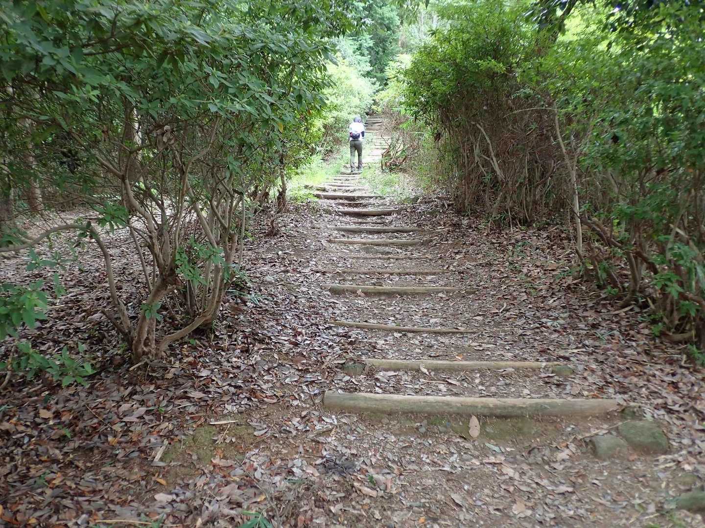 枚岡神社-タタラ山-暗峠-府民の森 森のレストハウス-天明 縦走コースの写真