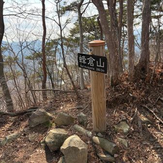 証拠写真だけ撮って下ります