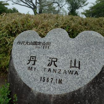 丹沢山に到着。