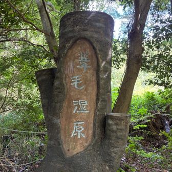 『いもうしつげん』と読みます。