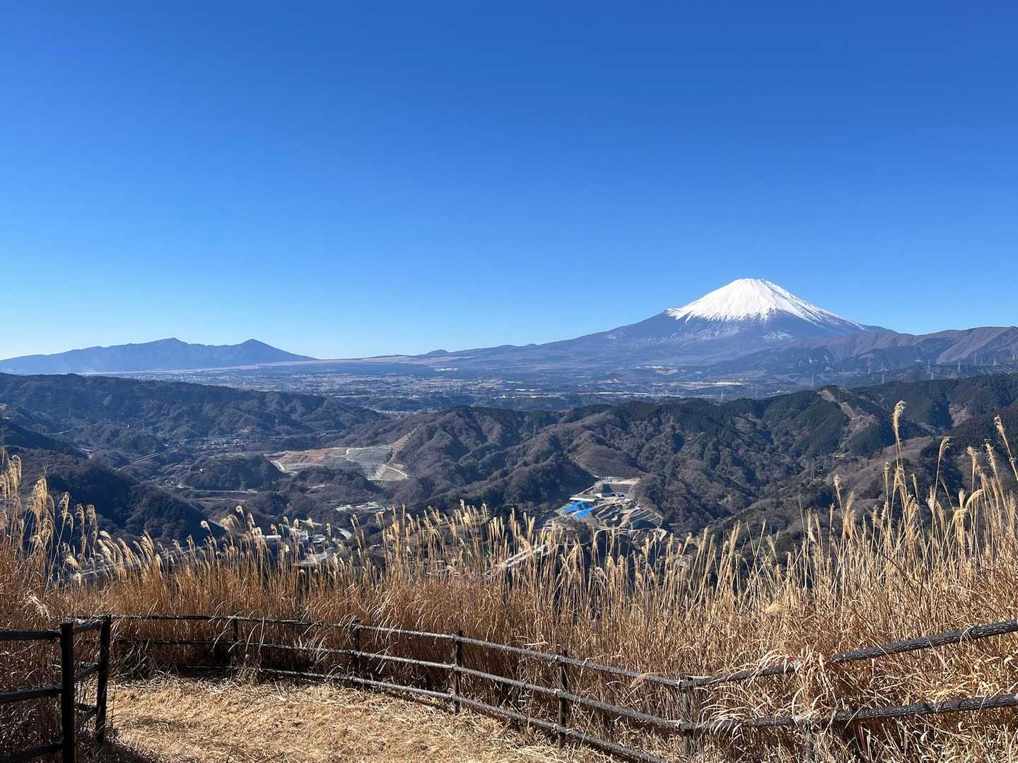と　次はあの山👆行こう！！と

👀愛鷹山！
行ってみたいわ