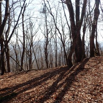 気持ちが良い尾根です🤗