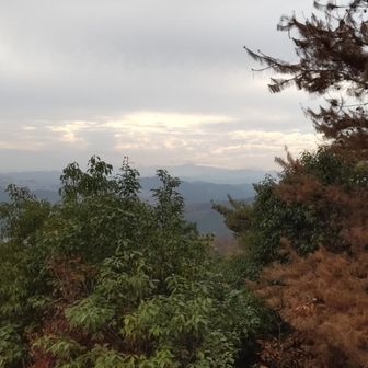 金刀比羅神社まで戻り、富士山方向を撮影してみました、やはり見えません😂