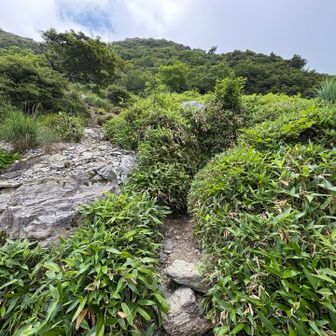 ここで道を間違えてしまいました！
右に行く赤いリボンを見落とし、
左のがれ場に進んでしまい大変！
下山時に撮影したら、赤いリボンがかすかに見えた。
