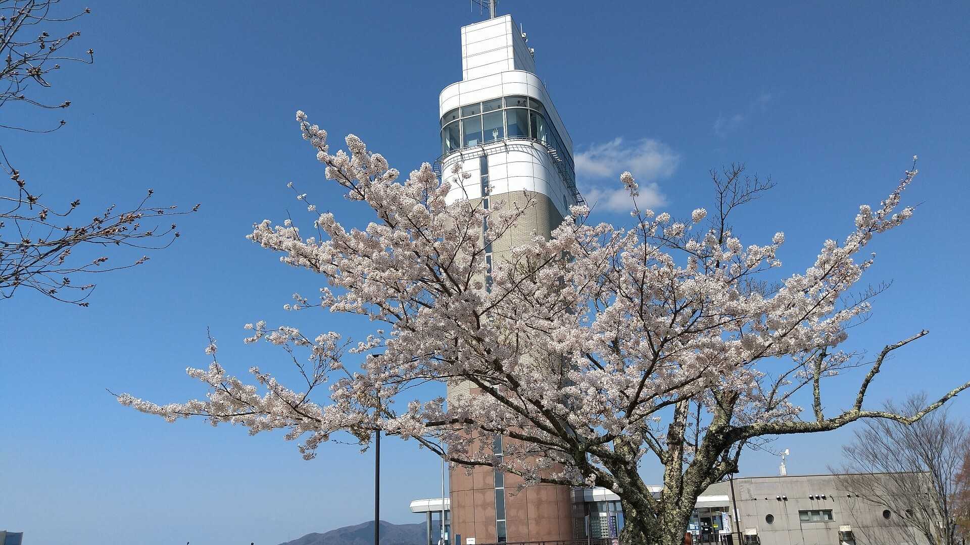 五老岳の写真
