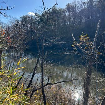 濁り池〜たしかに濁ってました🤣
