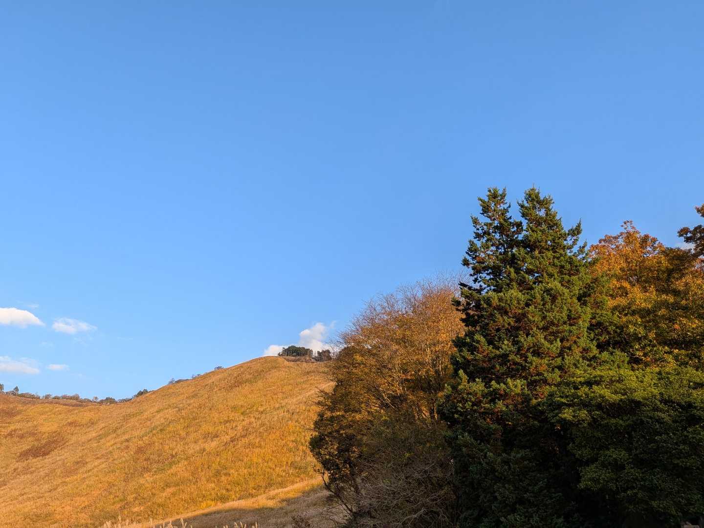 亀山峠-亀山 周回コースの写真