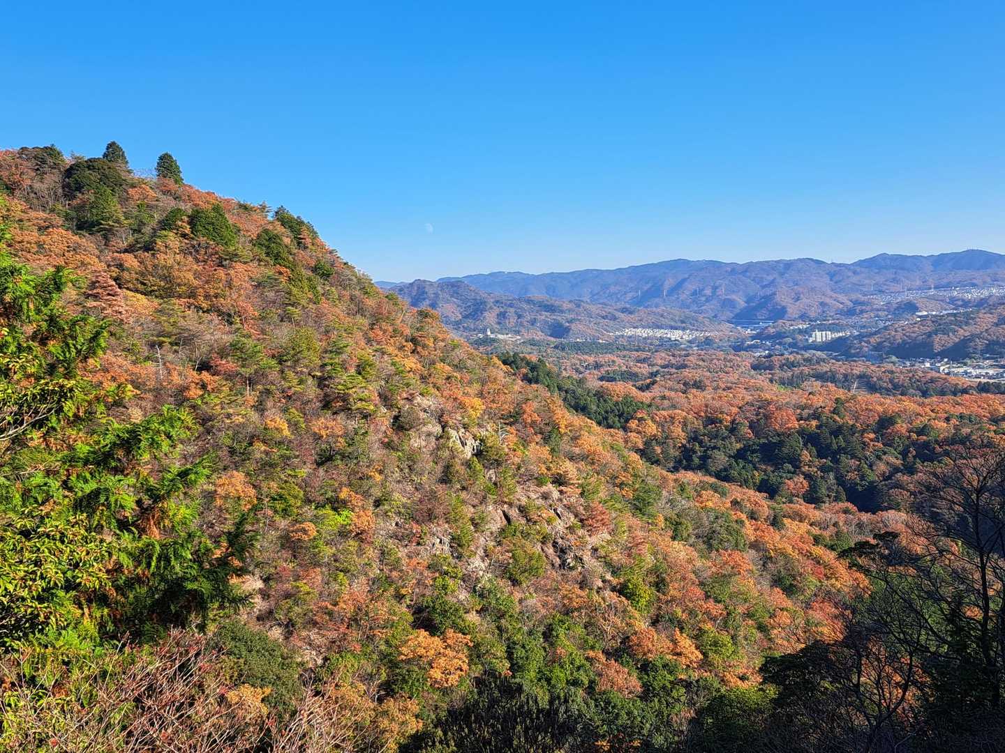 山の斜面のカラフルな紅葉が綺麗でした🍁
