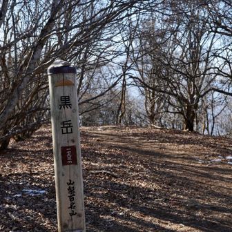 黒岳（御坂黒岳）

黒岳（御坂黒岳）は山梨県の御坂山地にある標高1,793 mの山で、山梨百名山・日本三百名山にも選ばれる人気のハイキング峰です。河口湖と富士山を一望できる展望が魅力で、すずらん群生地から新道峠・FUJIYAMAツインテラスを経て登るコースも整備されています。名前は御坂山地の最高峰であることに由来し、多様な登山ルートが楽しめます。