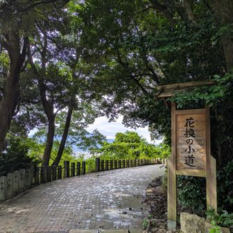 「てんつつざん」て読むのかと思っていたら、「てづつやま」って読むんやね👍