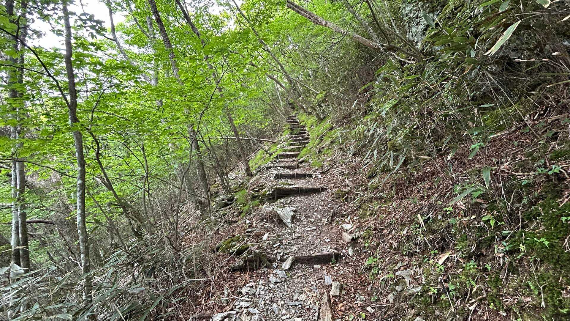 この階段部分がまあまあ厳しい😅
