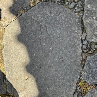 いろんな模様の石がありました